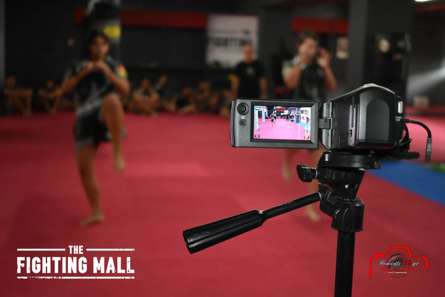 DSC_0128 The Fighting Mall